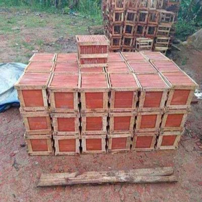 WhatsApp Image 2025-07-30 at 10.15.19 (1)